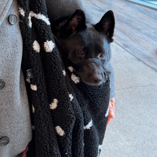 Your profile preview