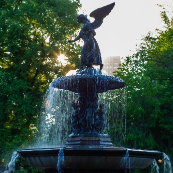 Your profile preview